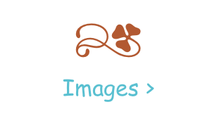 r
Images >